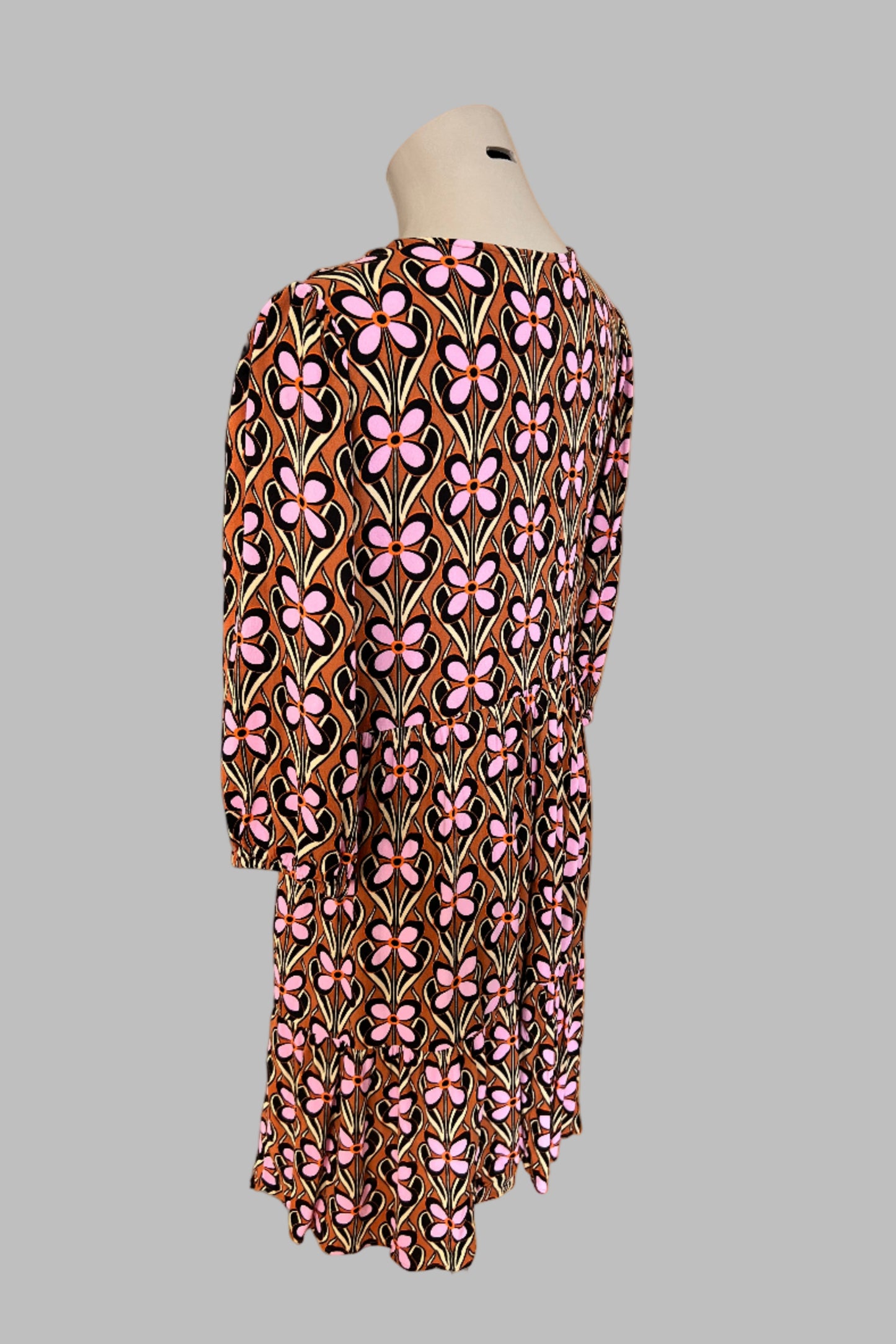 Sass Dress Size 16